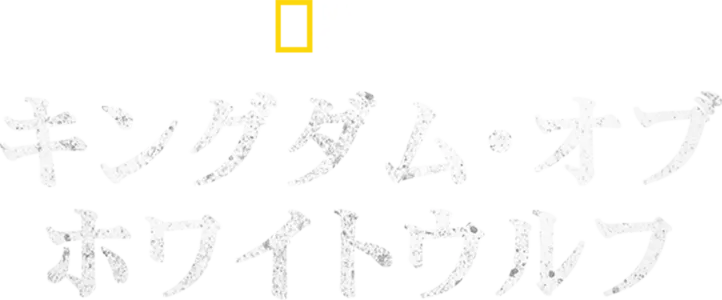 キングダム・オブ・ホワイトウルフ