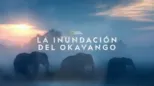 thumbnail - La inundación del Okavango