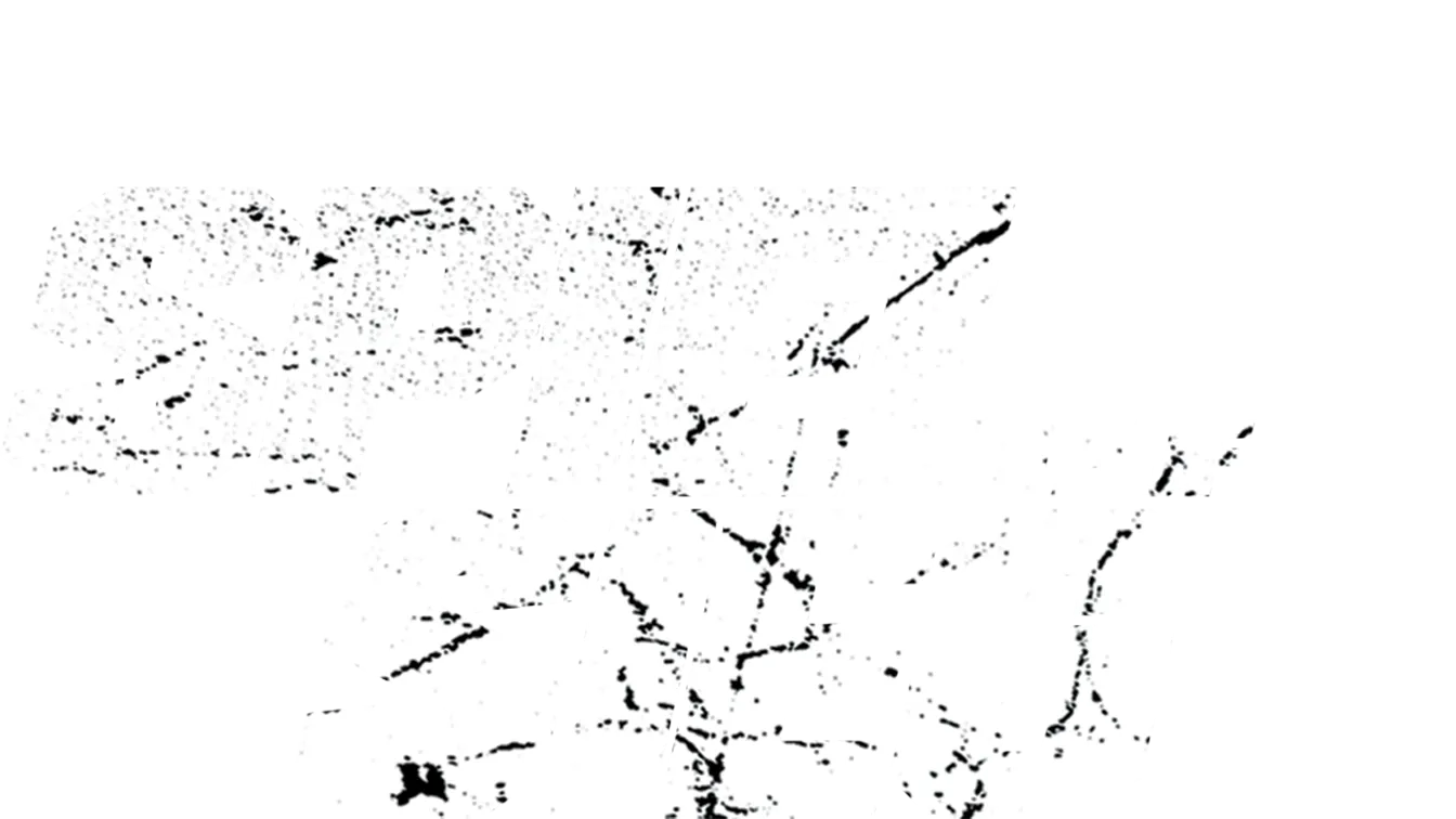 Spiel auf Sieg