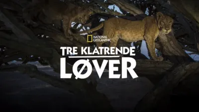 Tre klatrende løver