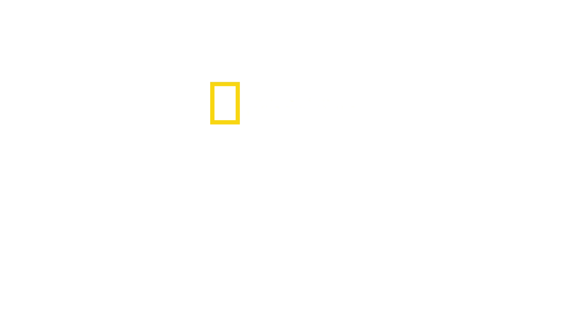Sri Lanka: Il Regno Del Leopardo