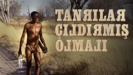 thumbnail - Tanrılar Çıldırmış Olmalı