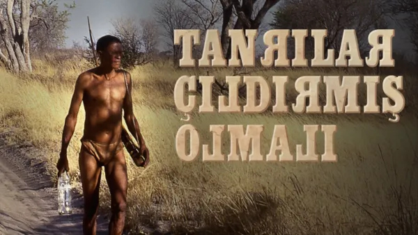 thumbnail - Tanrılar Çıldırmış Olmalı
