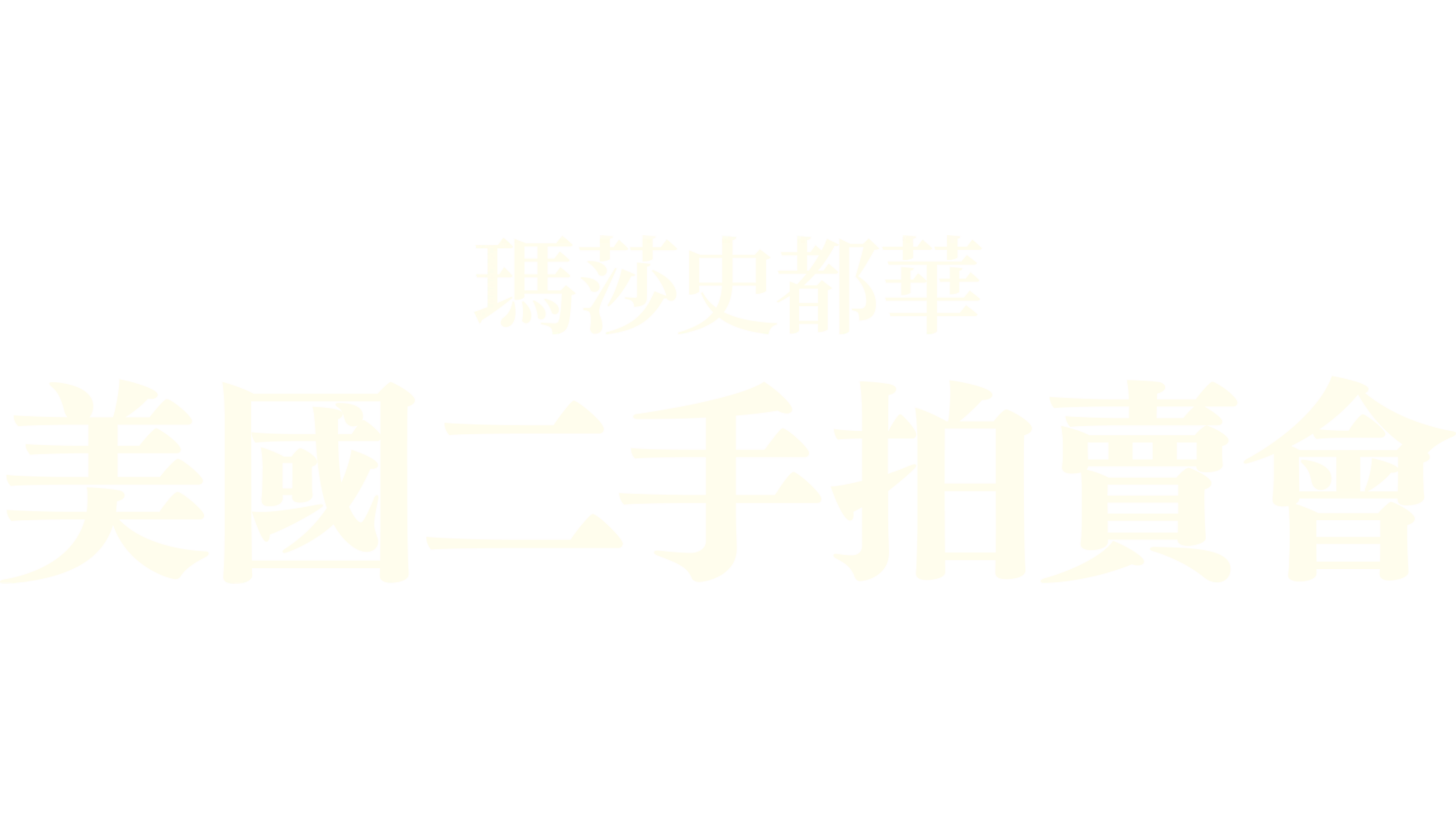 瑪莎史都華，美國二手拍賣會