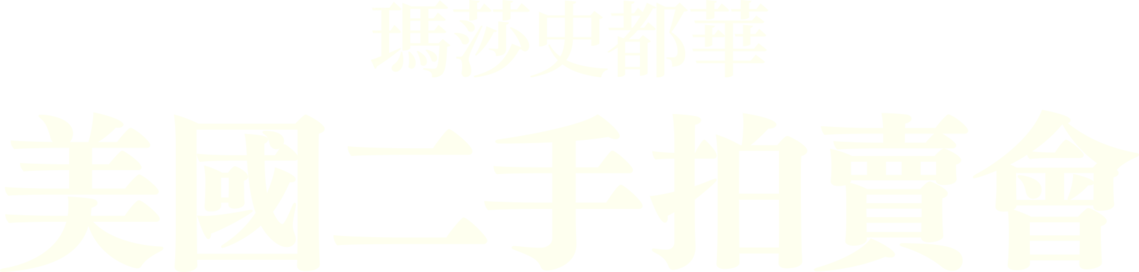 瑪莎史都華，美國二手拍賣會