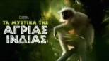 thumbnail - Τα Μυστικά της Άγριας Ινδίας