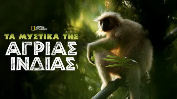 thumbnail - Τα Μυστικά της Άγριας Ινδίας