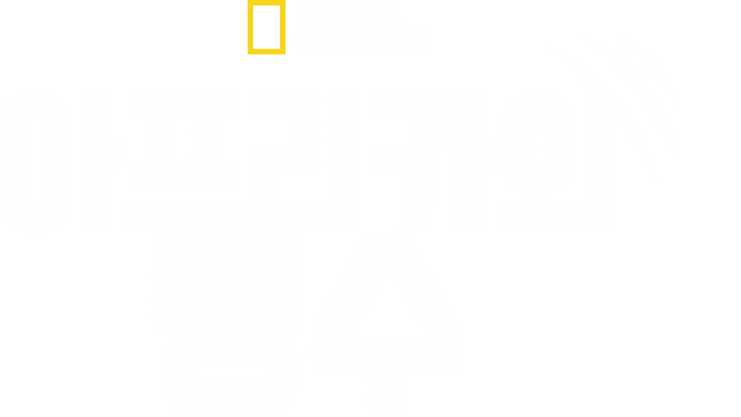 아프리카의 맹수