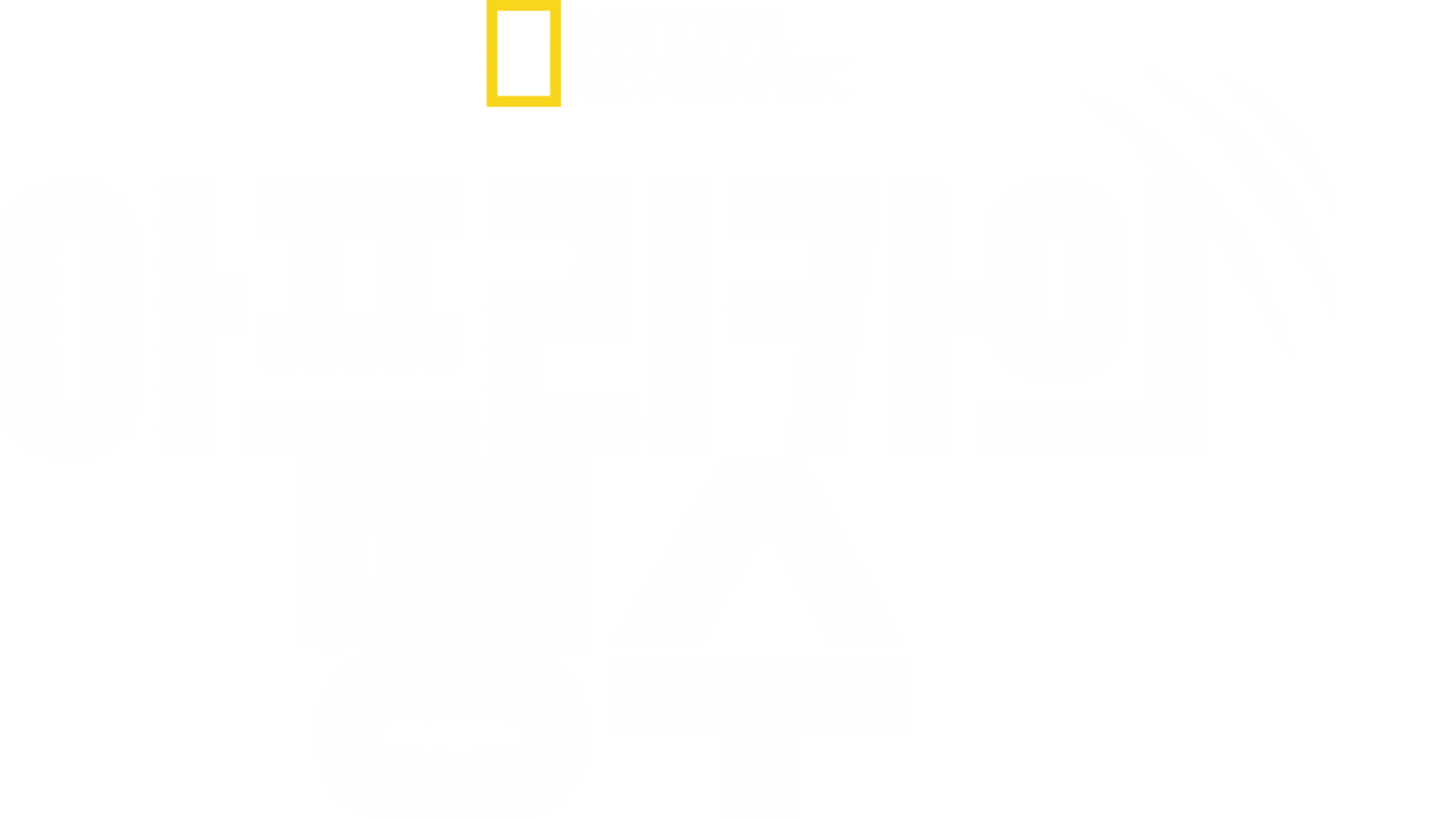 아프리카의 맹수