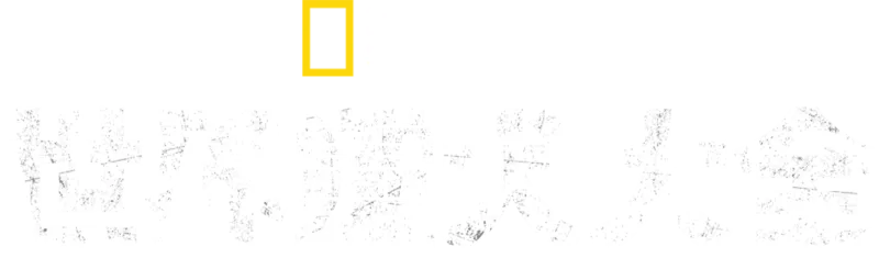 世界靈犬大全