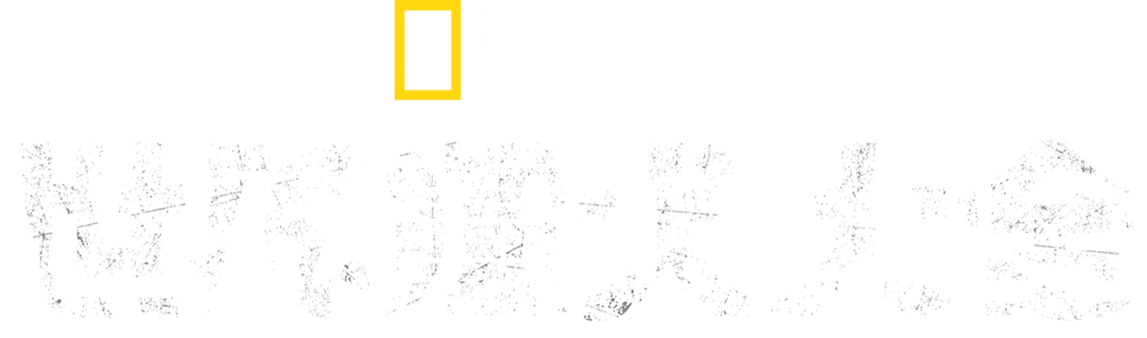 世界靈犬大全