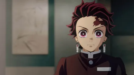 Demon Slayer: Kimetsu No Yaiba Hashira Training Arc