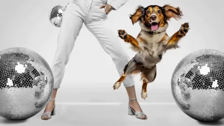 The Secret Life of Dancing Dogs