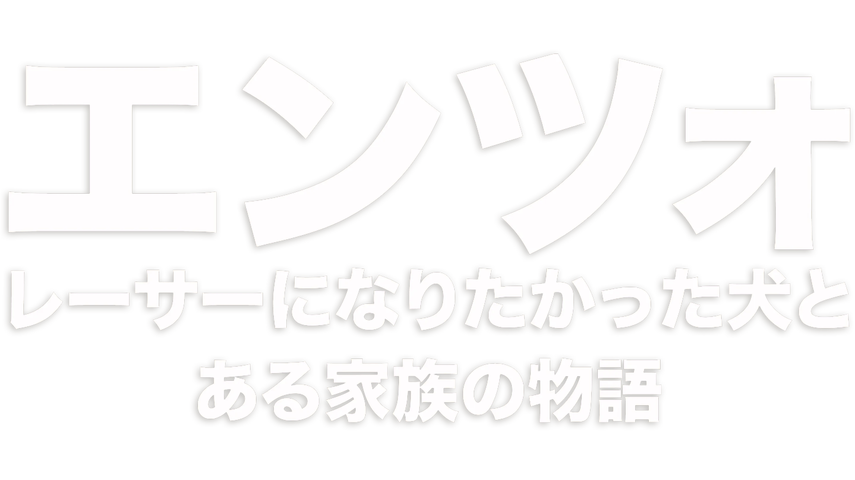 エンツォ　レーサーになりたかった犬とある家族の物語