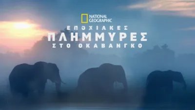 Εποχιακές Πλημμύρες στο Οκαβάνγκο