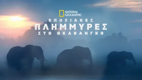 thumbnail - Εποχιακές Πλημμύρες στο Οκαβάνγκο
