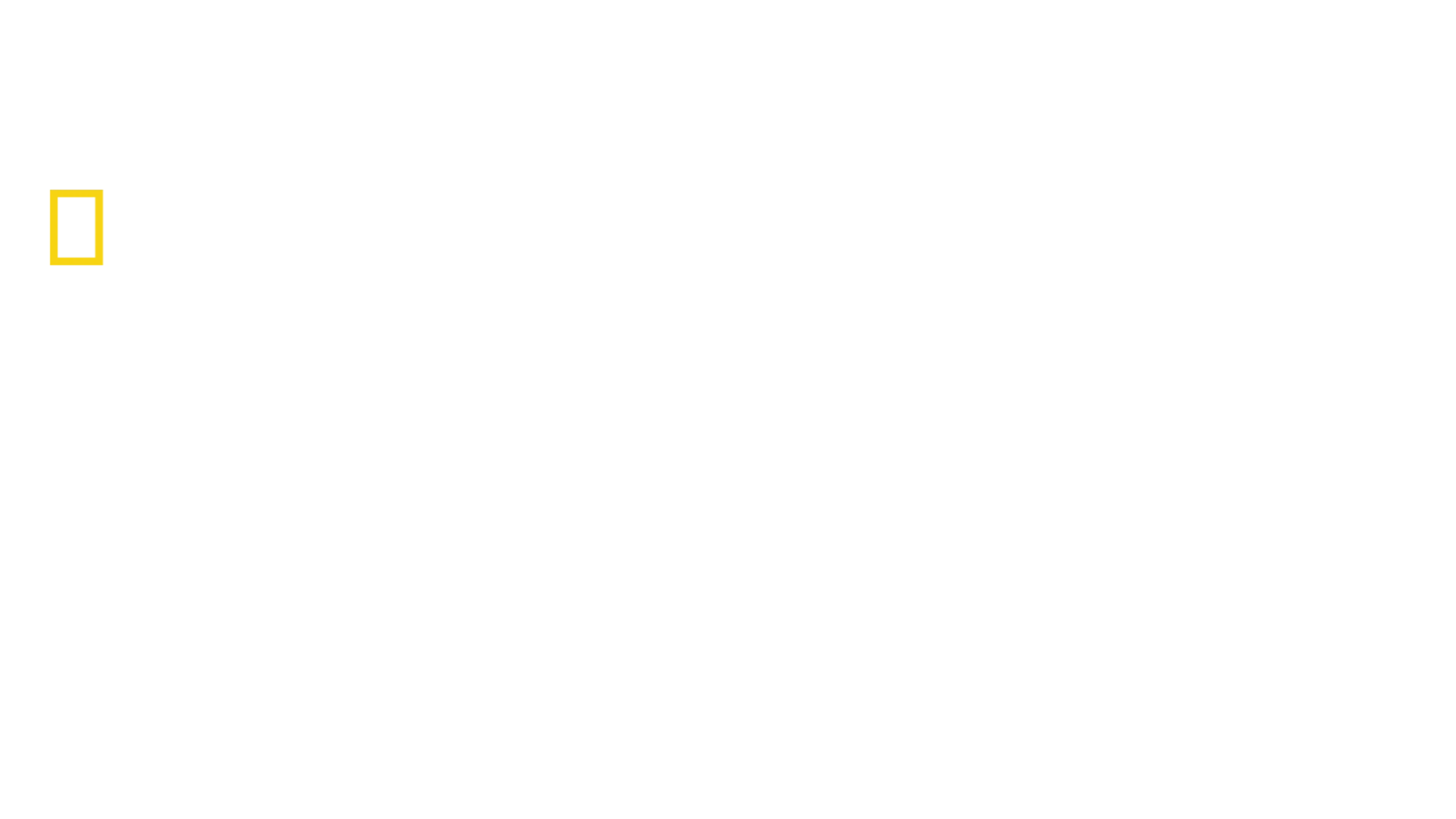 Origini: Drumul omenirii