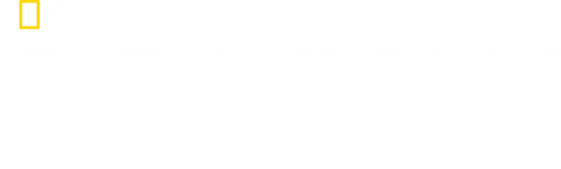 Origini: Drumul omenirii
