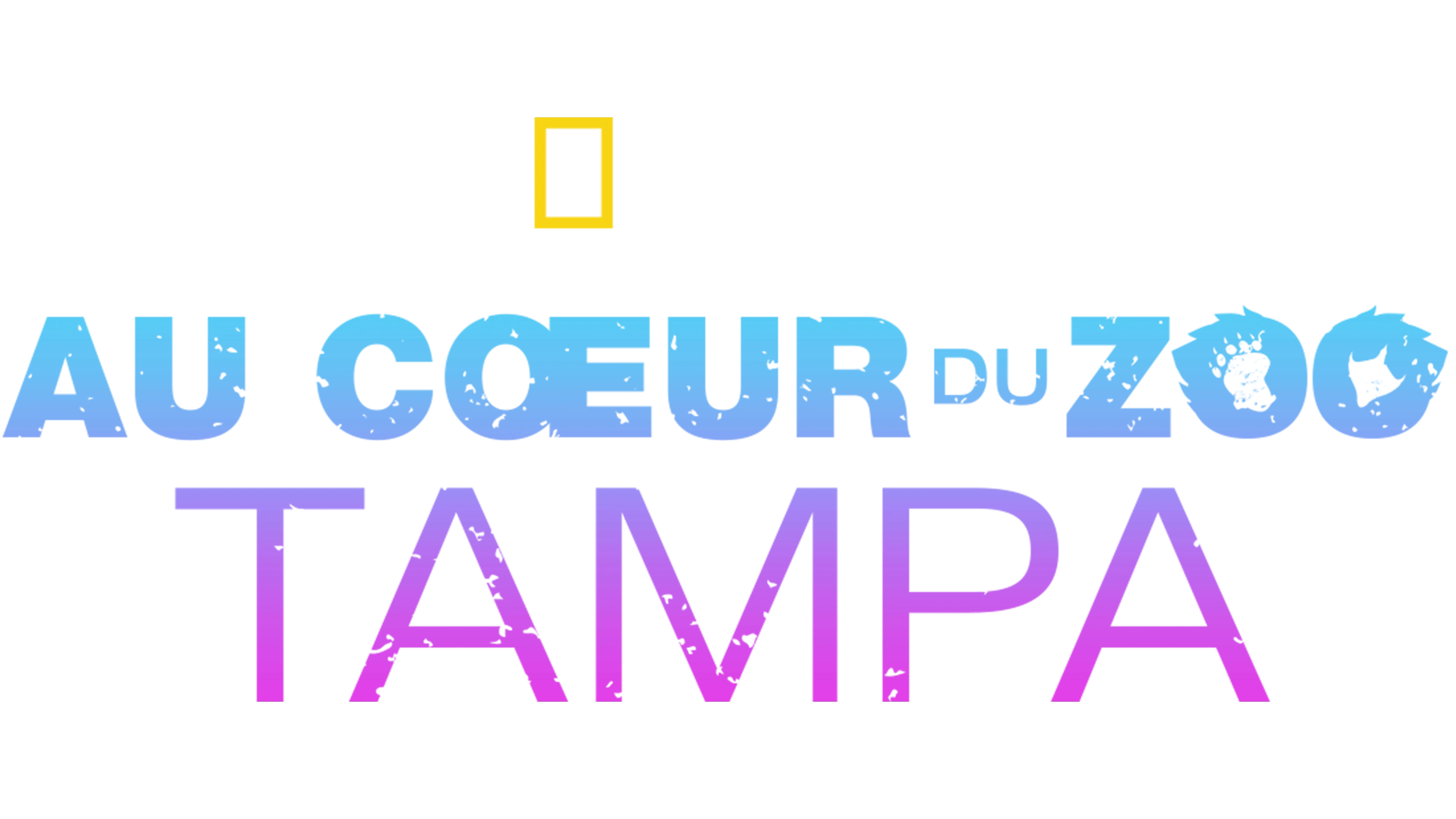 Au cœur du zoo : Tampa