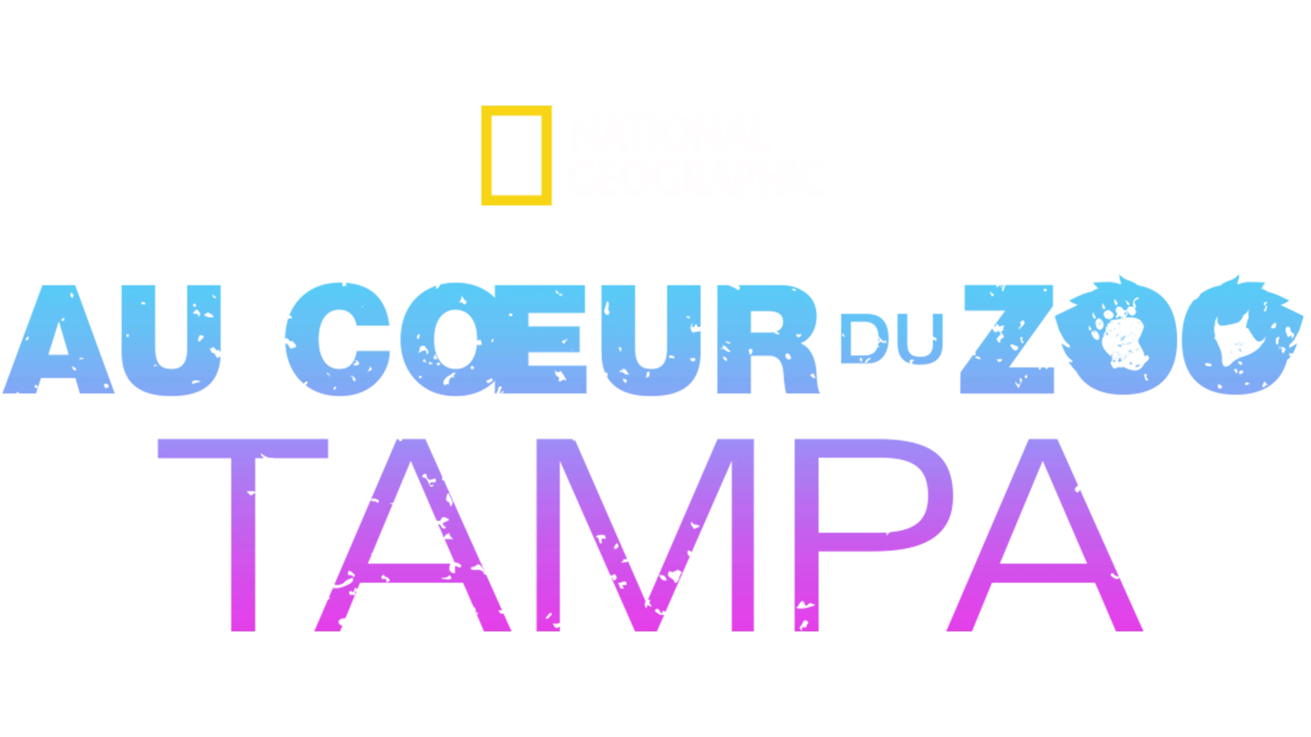 Au cœur du zoo : Tampa