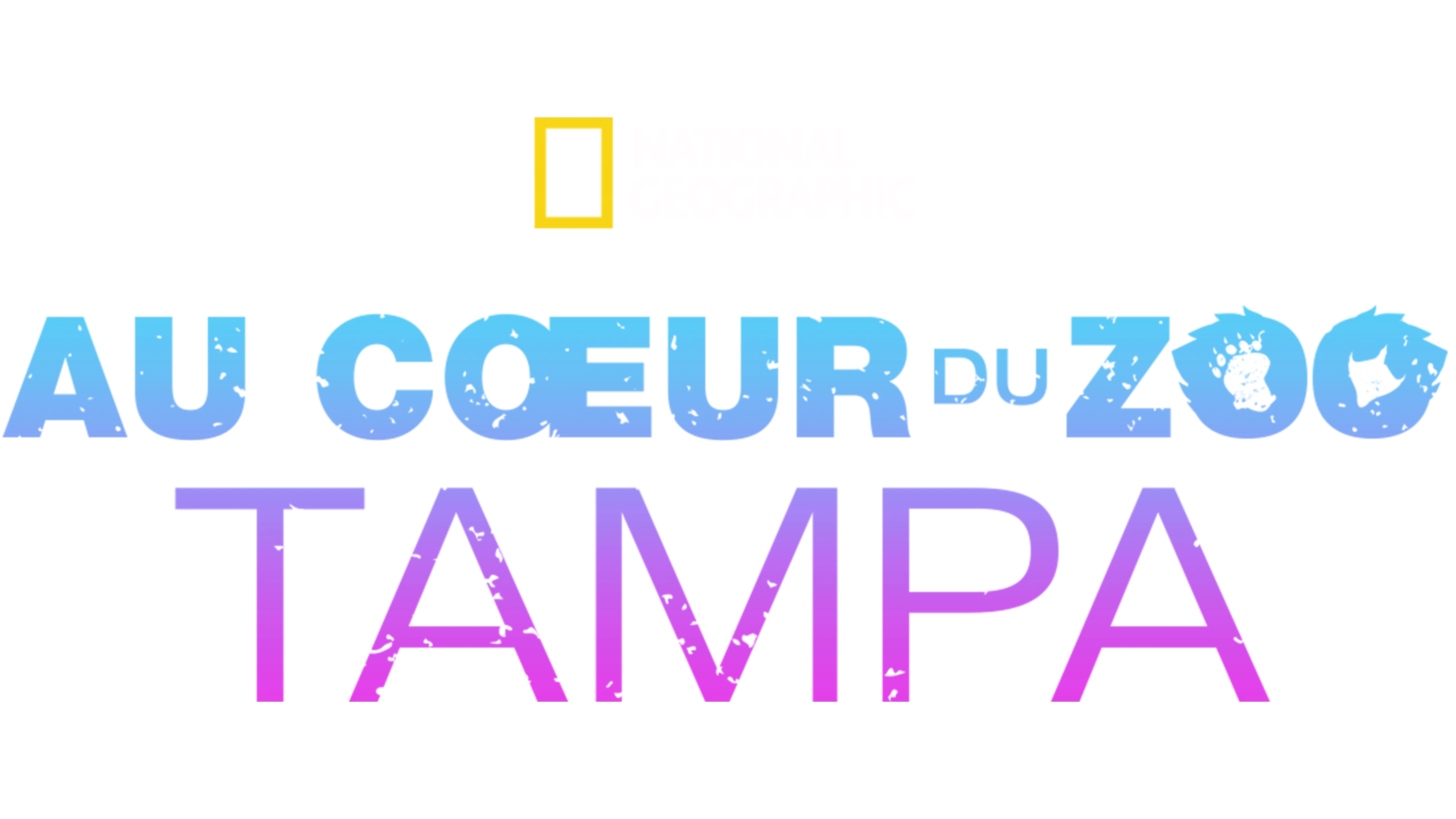 Au cœur du zoo : Tampa