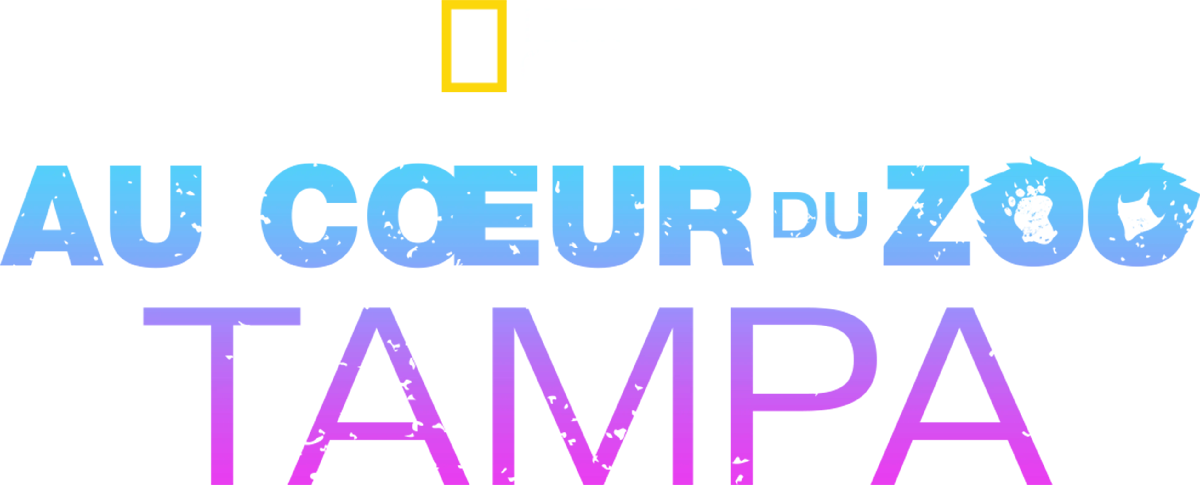 Au cœur du zoo : Tampa