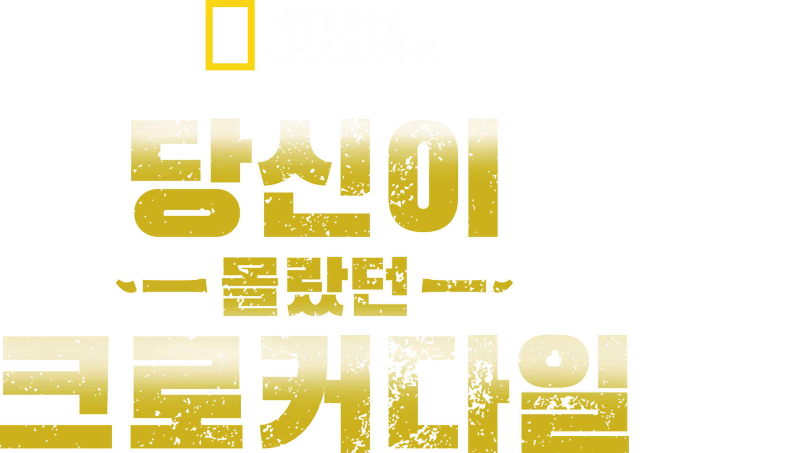 당신이 몰랐던 크로커다일