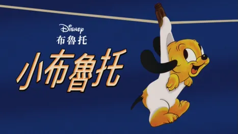 thumbnail - 小布魯托