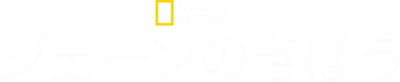 ジェーンのきぼう