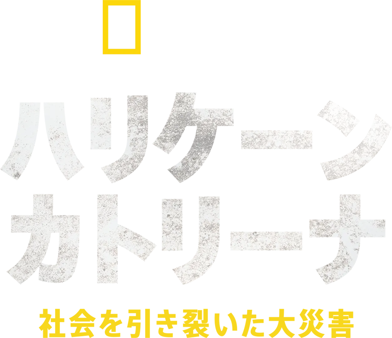 ハリケーン・カトリーナ：社会を引き裂いた大災害