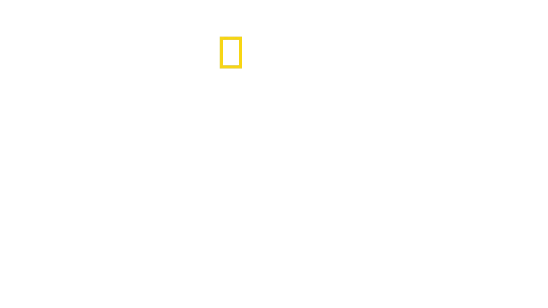 Expedición al Amazonas