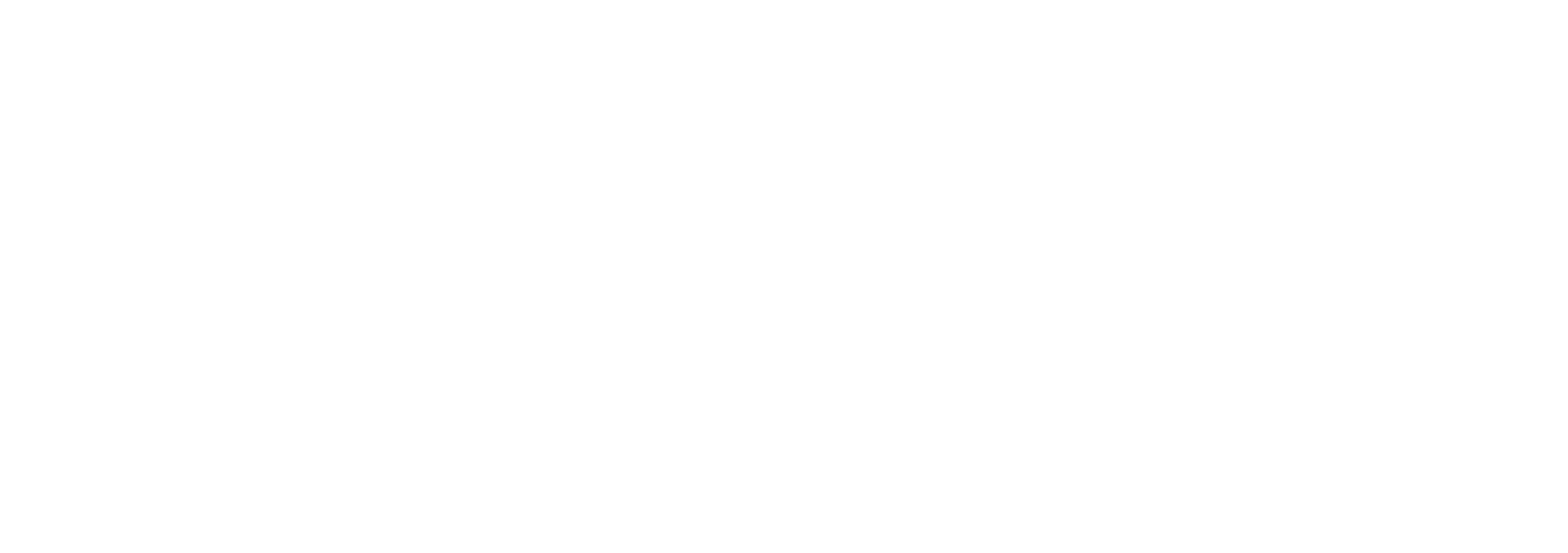 Universi paralleli