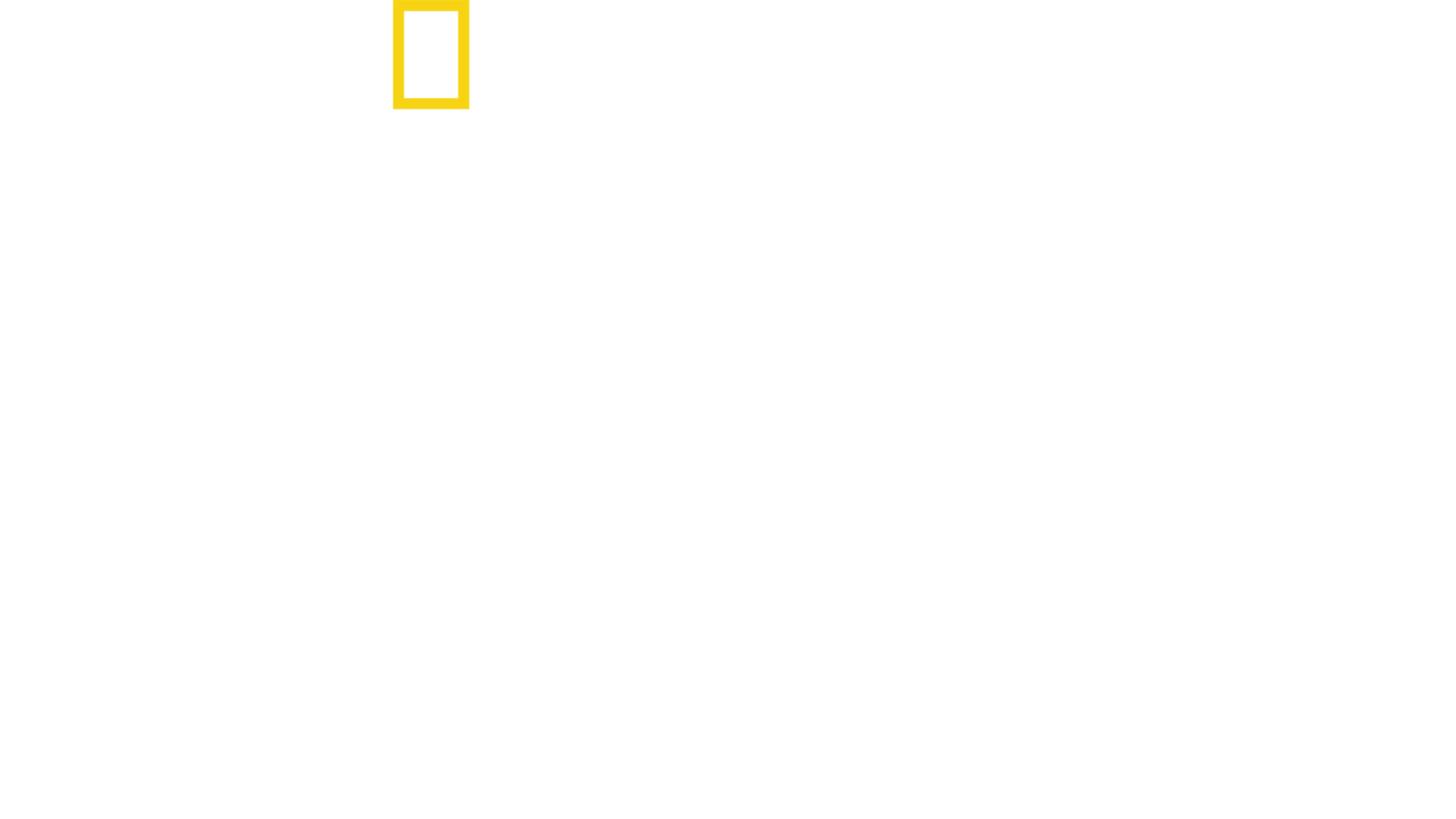 Martor: Ziua Z