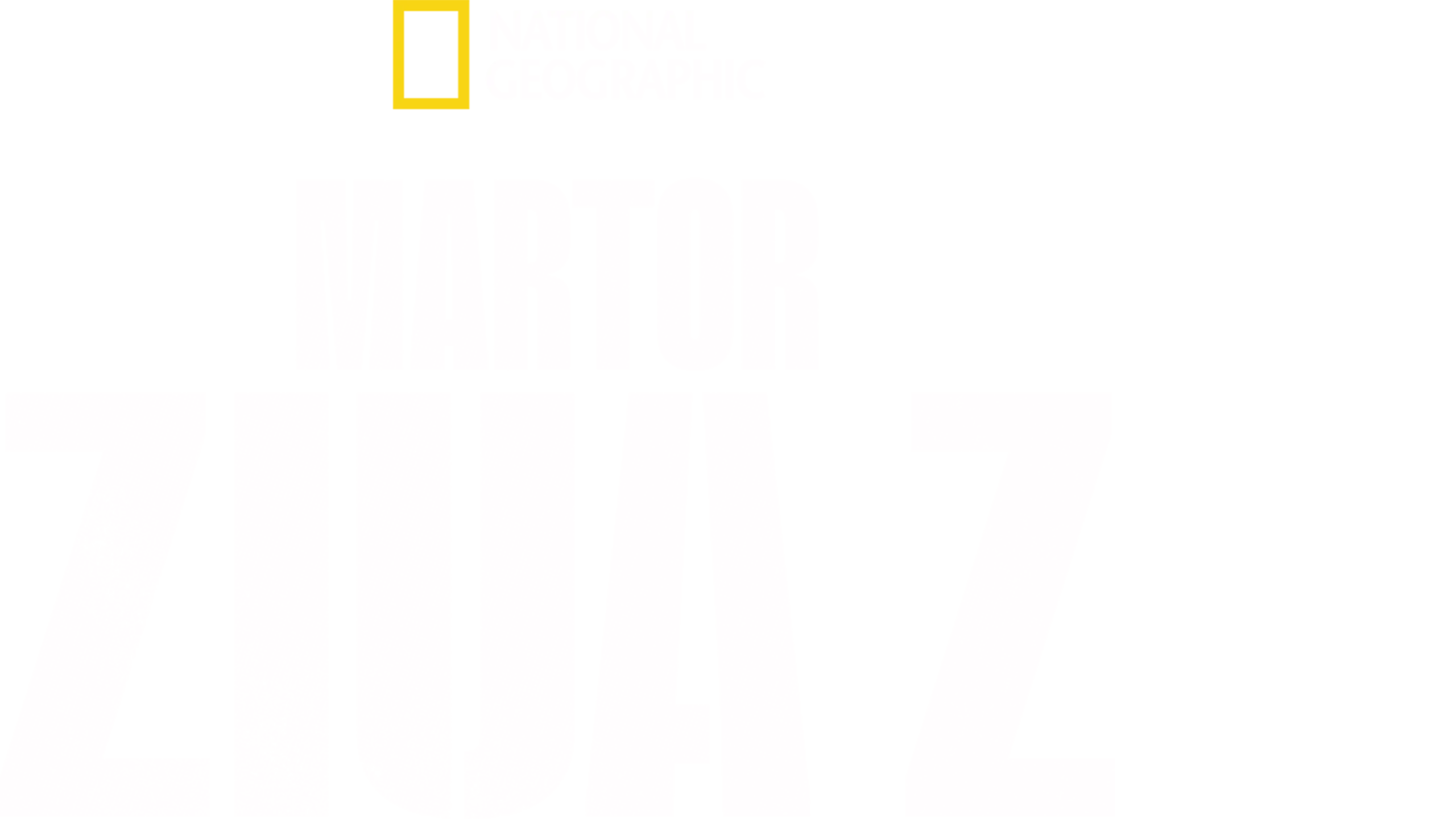 Martor: Ziua Z