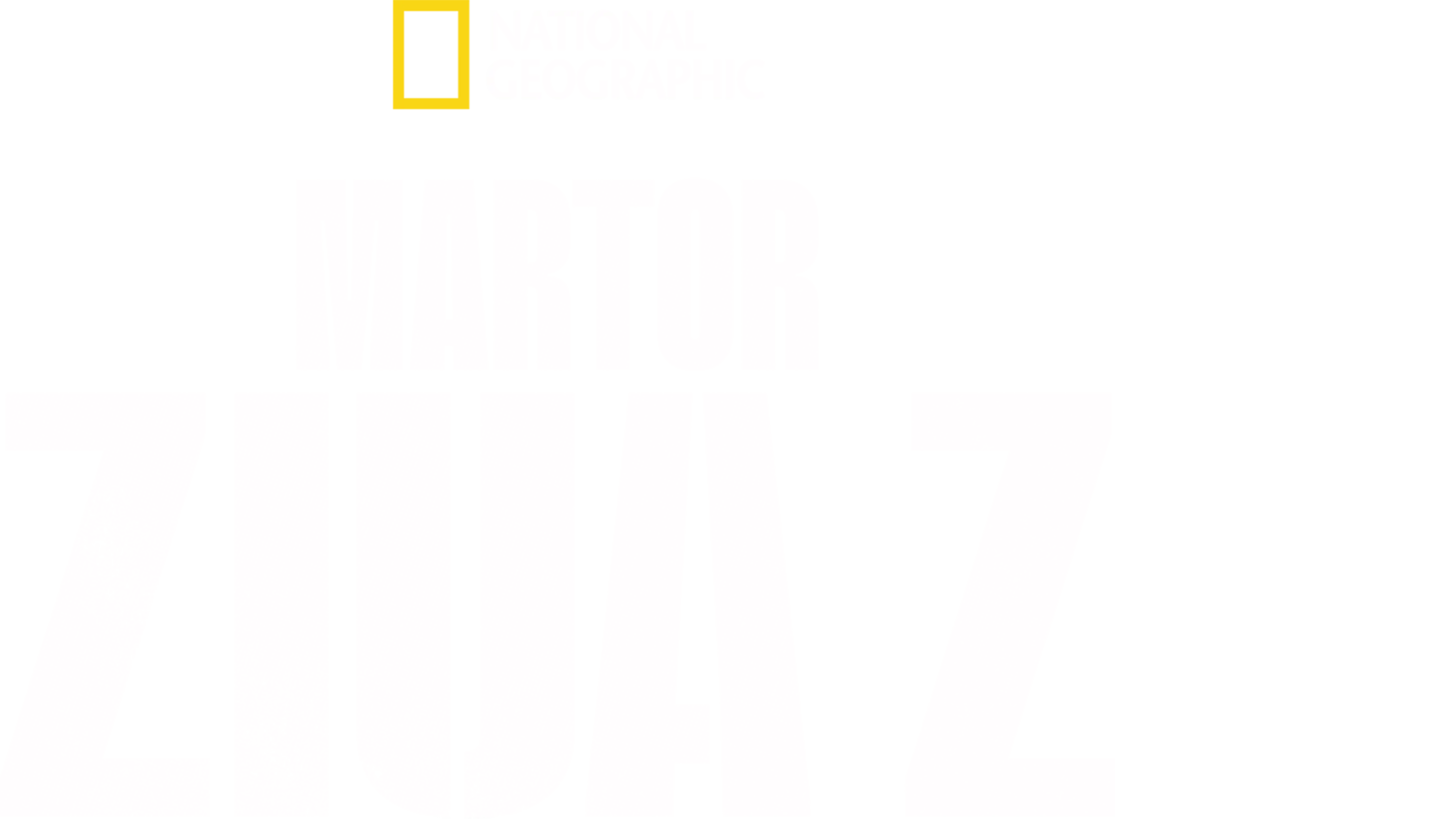 Martor: Ziua Z