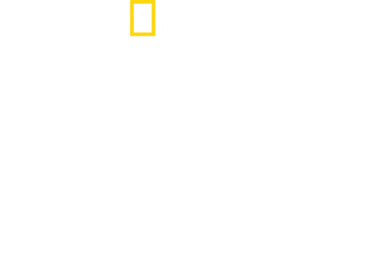 Martor: Ziua Z