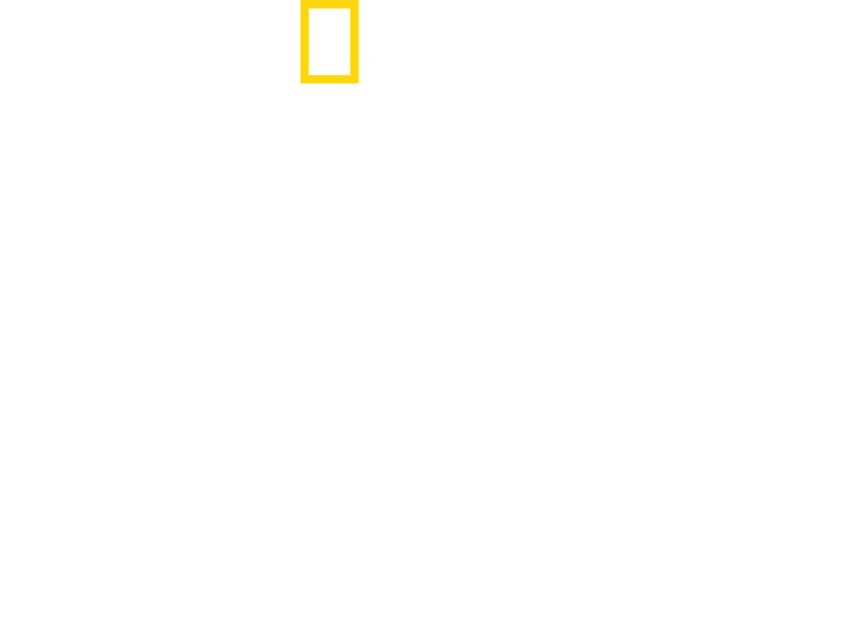 Martor: Ziua Z