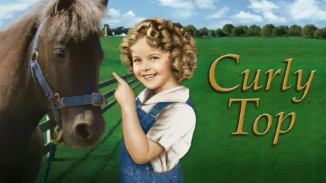 thumbnail - Curly Top