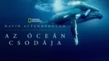 thumbnail - David Attenborough: Az óceán csodája