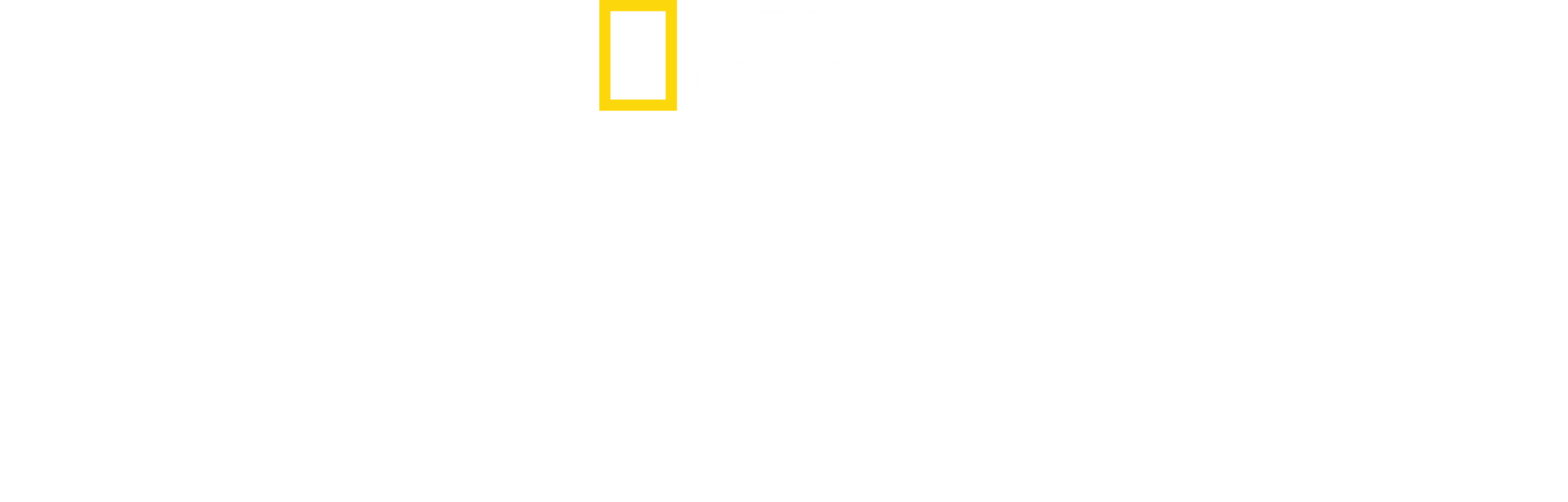 Im Angesicht der Katastrophe