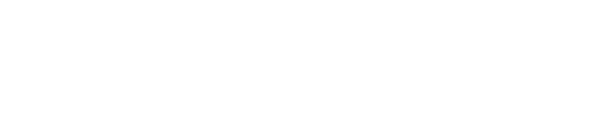ACC Tournament (2006)