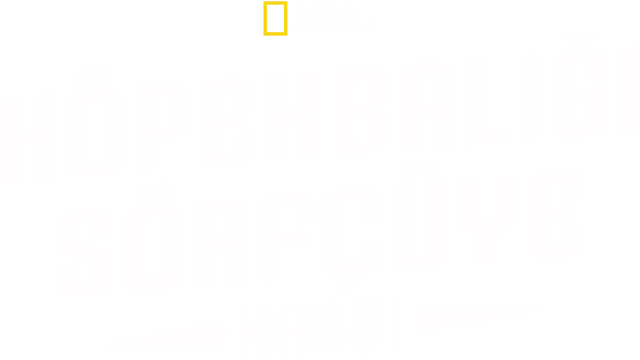 Köpekbalığı Sörfçüye Karşı