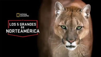 Los 5 Grandes de Norteamérica