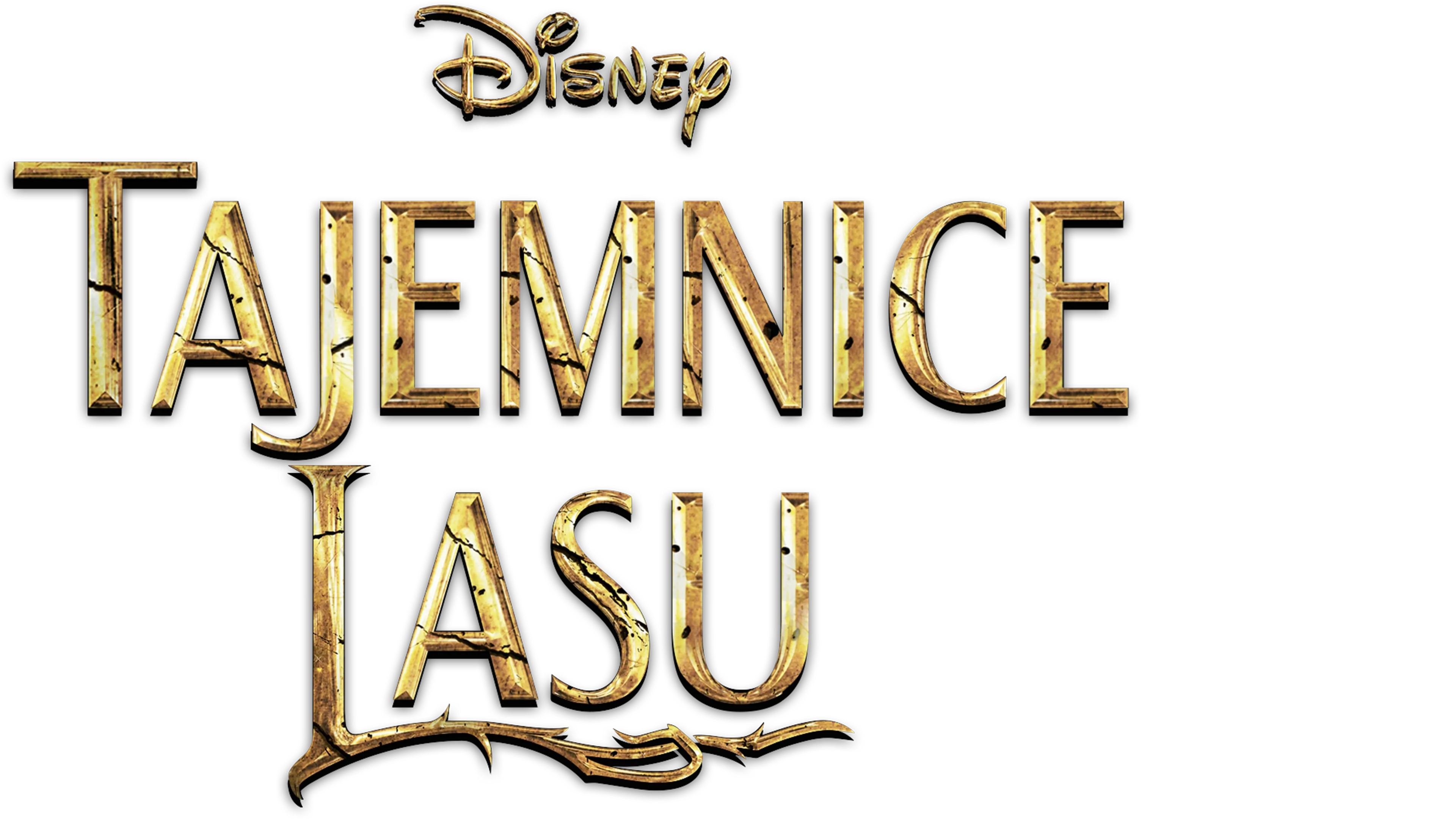 Tajemnice Lasu
