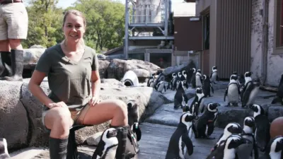 thumbnail - S1:E1 Adorable Penguin Party