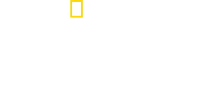 Shark Beach with Anthony Mackie: Gulf Coast
