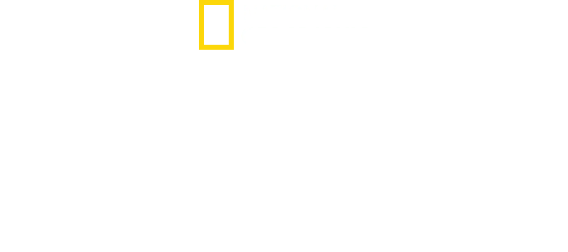 Shark Beach with Anthony Mackie: Gulf Coast