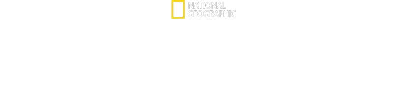 Hvalenes hemmeligheter