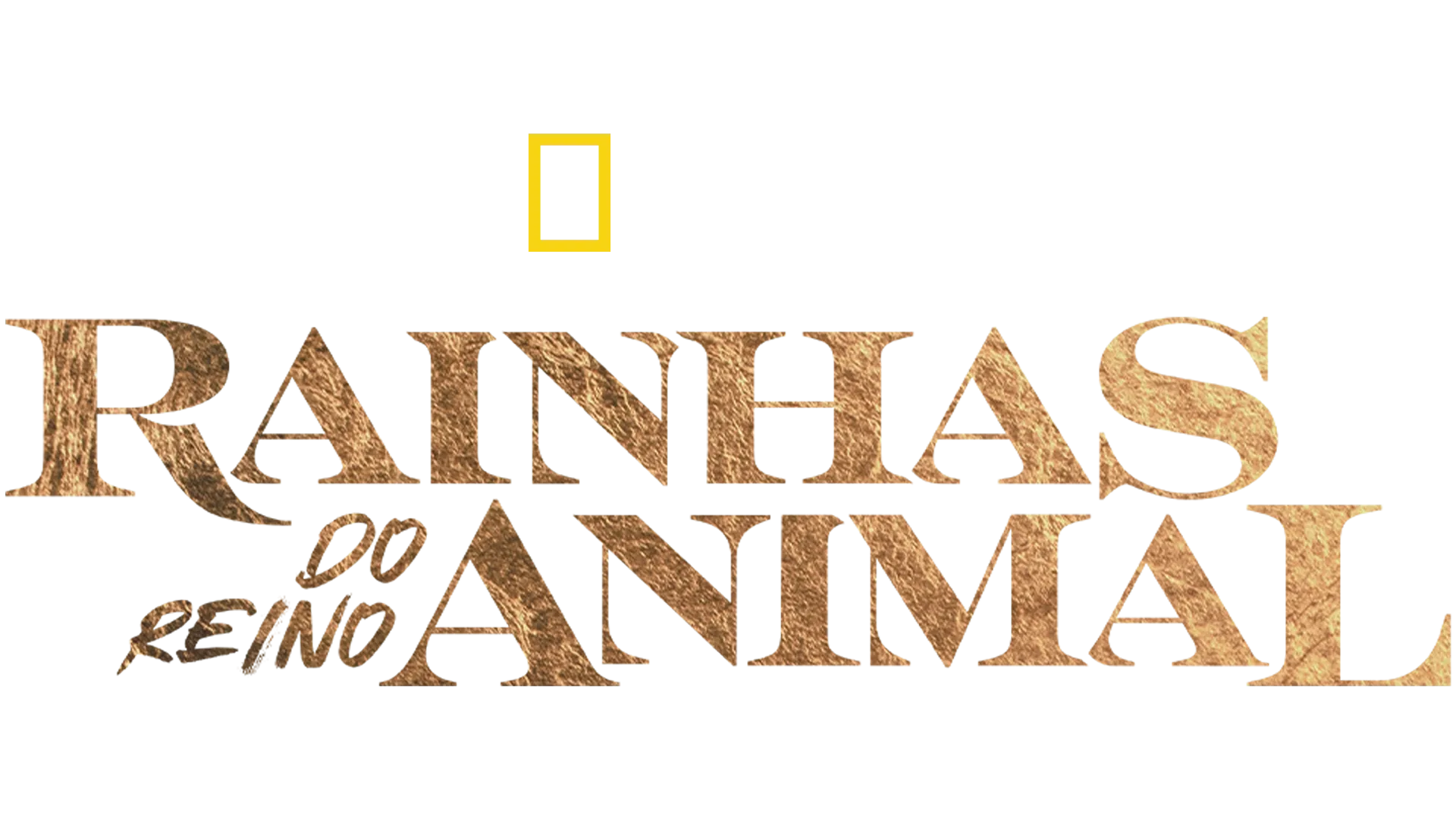 Rainhas do Reino Animal