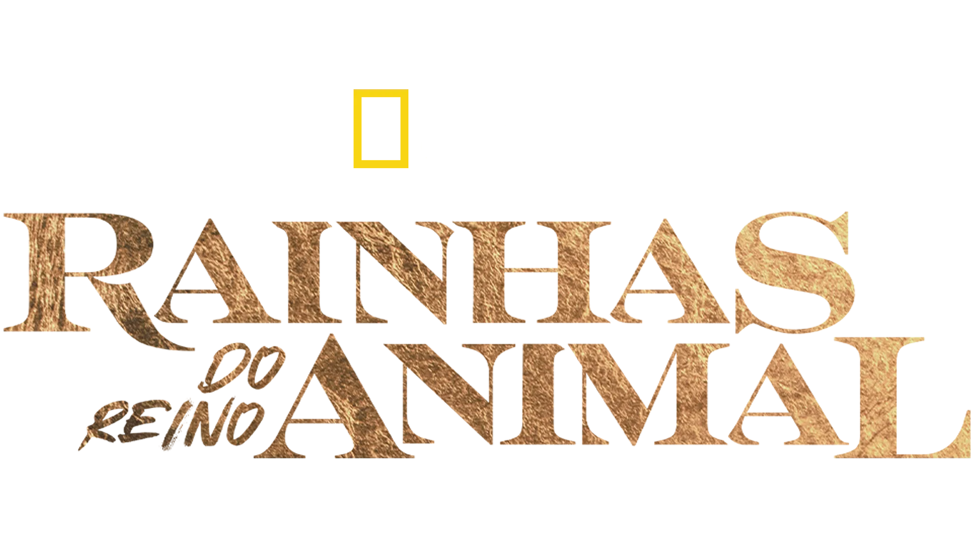 Rainhas do Reino Animal